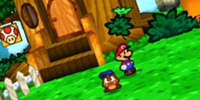 Paper Mario